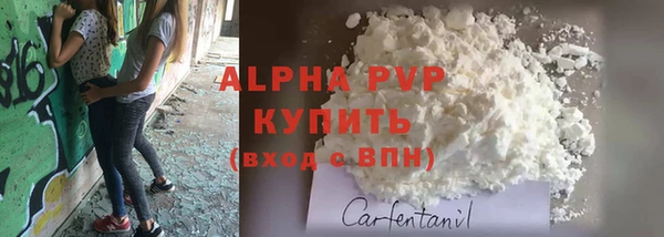 ПСИЛОЦИБИНОВЫЕ ГРИБЫ Инсар