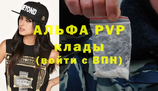 стаф Зеленокумск